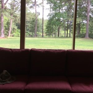 Meet your Posher, Sharon